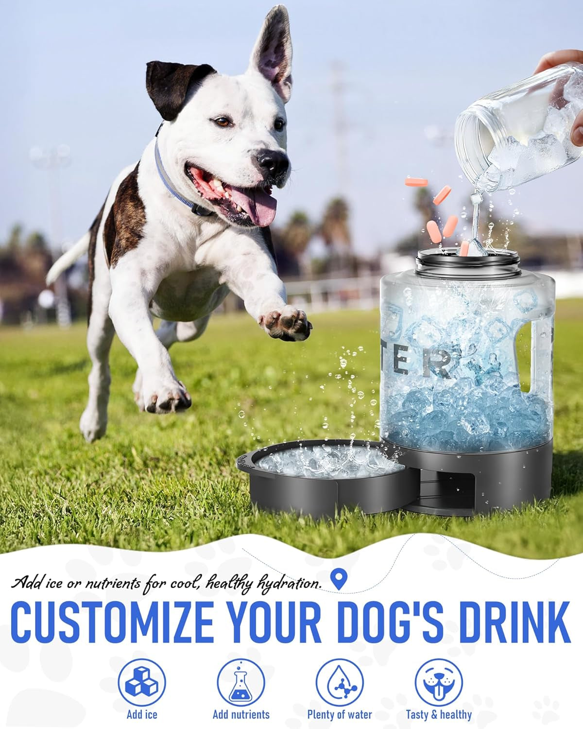 Dog Water Bottle Travel Bowl, 77Oz Large Portable Dog Water Bowl Dispenser, Leakproof Pet Drinking Bottle Dispenser for Hiking Camping Walking Travelling Beach Car Trips, BPA Free, Black