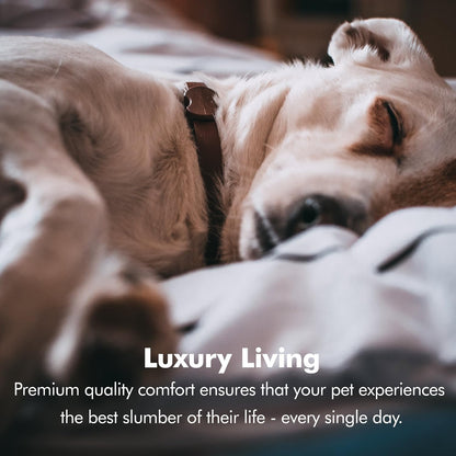 X-Large Dog Bed, Orthopedic Dog Sofa Memory Foam Mattress, Calming Dog Couch Bed, Wall Rim Pillow, Water Resistant Liner, Washable Cover, Non-Slip Bottom, Chester, X-Large Cocoa Brown