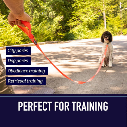 10 Foot Dog Leash with Padded Handle - Long Leash for Hiking, Camping, Exploring, or Walking (10 Feet, Black/Red/Grey)