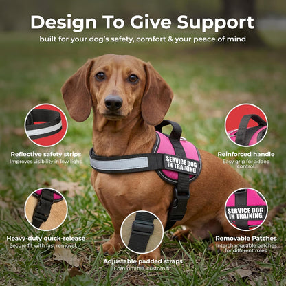 Service Dog in Training Vest Harness, XS 16.5-21.5 in Pink