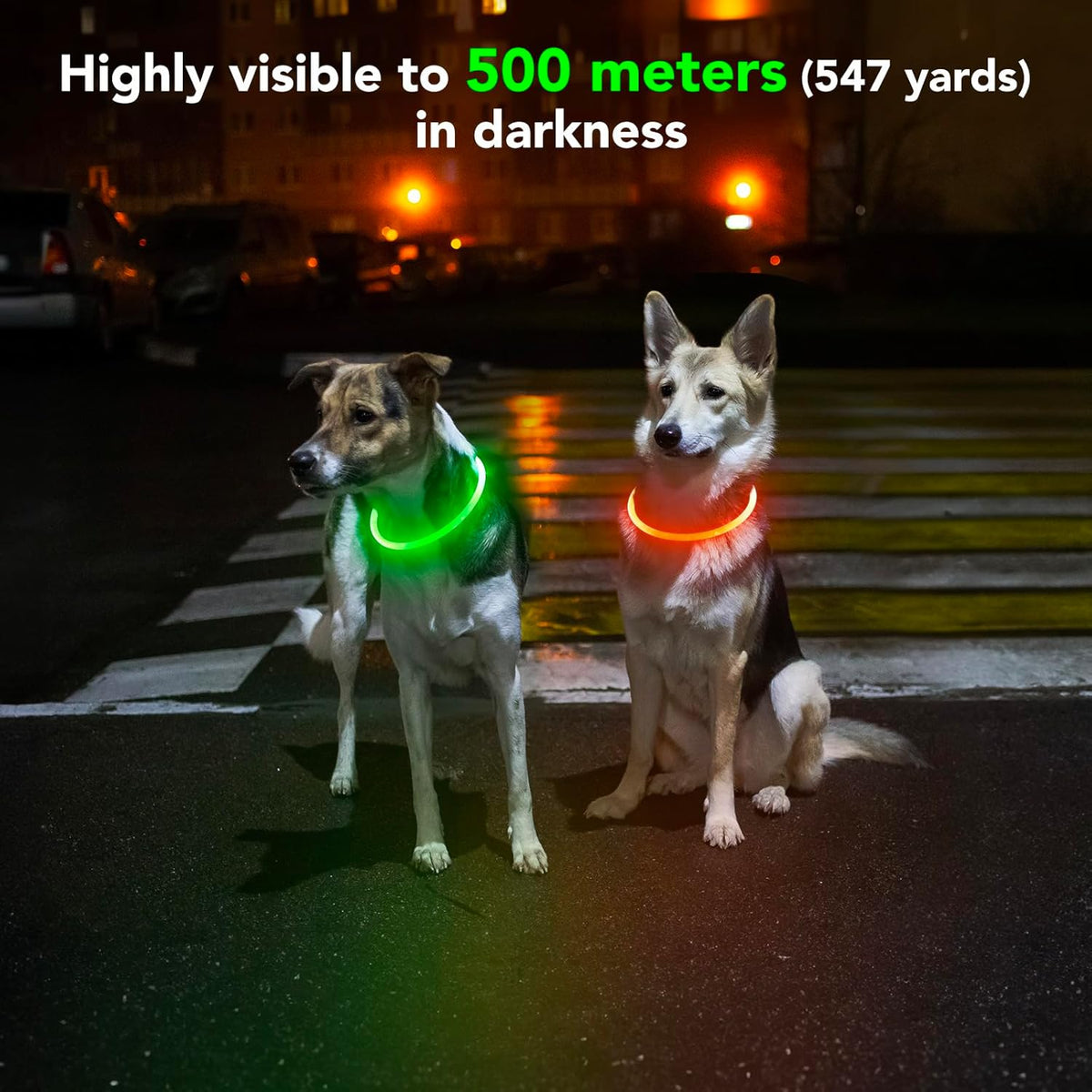 Lighted Dog Collar - Waterproof Puppy Collar Light Rechargeable, High Visibility Glowing Dog Lights for Night Walking (Orange)