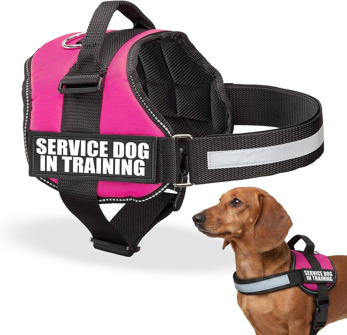 Service Dog in Training Vest Harness, XS 16.5-21.5 in Pink