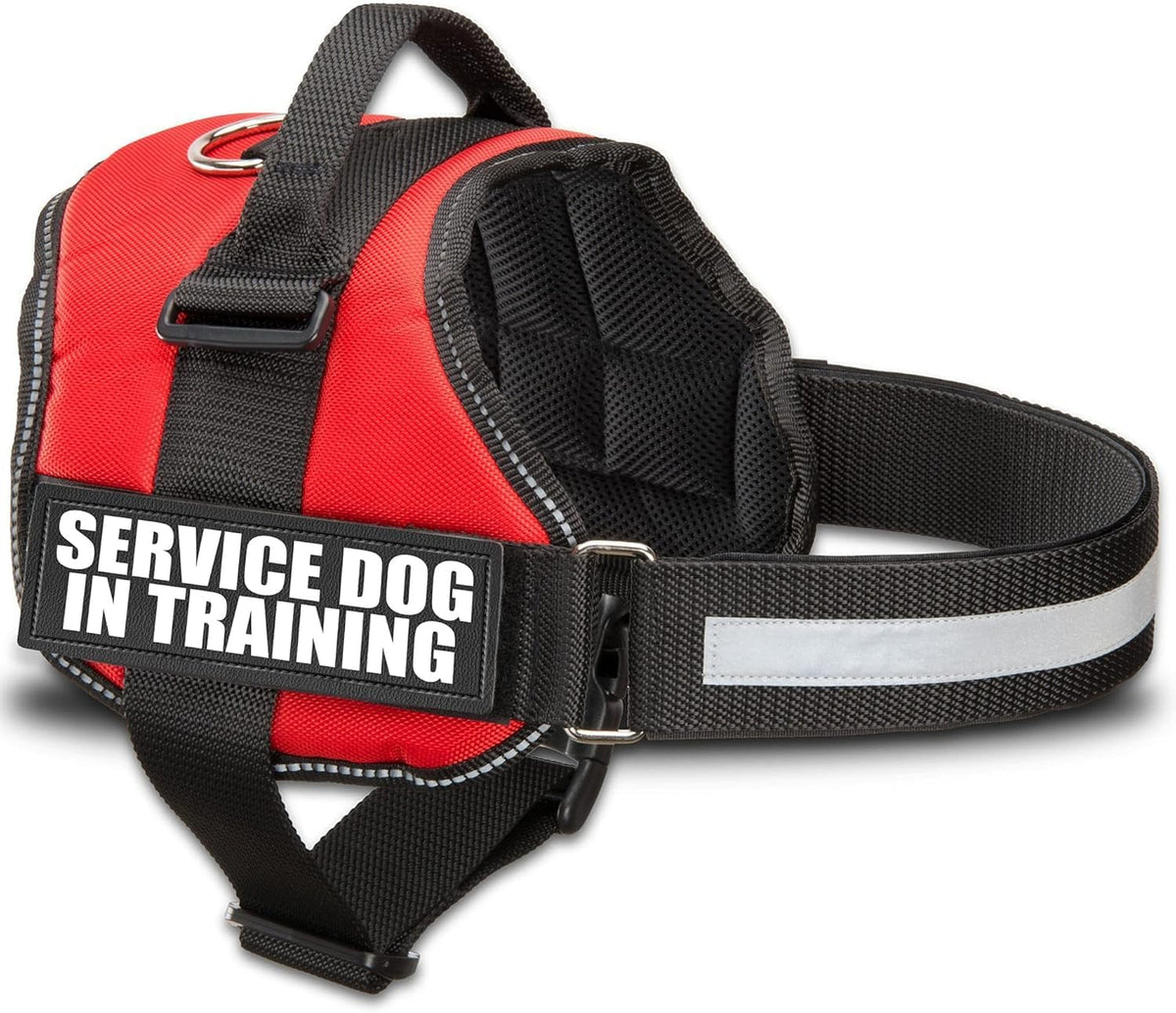 Service Dog in Training Vest Harness, XL 30-39 in Red