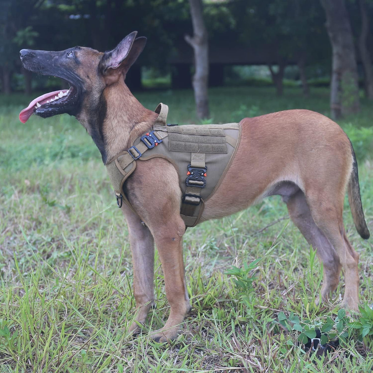 Tactical Dog Harness for Medium Dogs,Full Metal Buckles Dog Vest