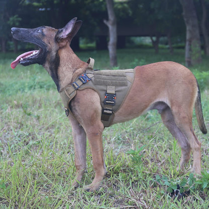 Tactical Dog Harness for Medium Dogs,Full Metal Buckles Dog Vest