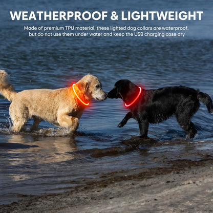 Lighted Dog Collar - Waterproof Puppy Collar Light Rechargeable, High Visibility Glowing Dog Lights for Night Walking (Orange)