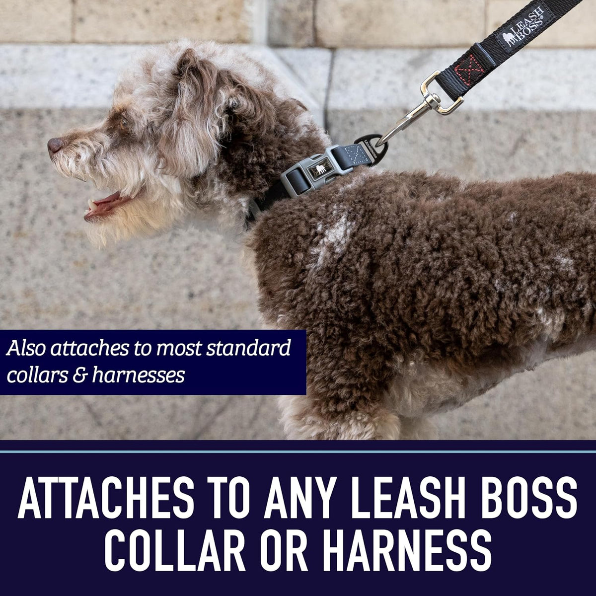 10 Foot Dog Leash with Padded Handle - Long Leash for Hiking, Camping, Exploring, or Walking (10 Feet, Black/Red/Grey)
