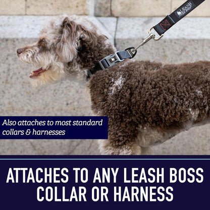 10 Foot Dog Leash with Padded Handle - Long Leash for Hiking, Camping, Exploring, or Walking (10 Feet, Black/Red/Grey)