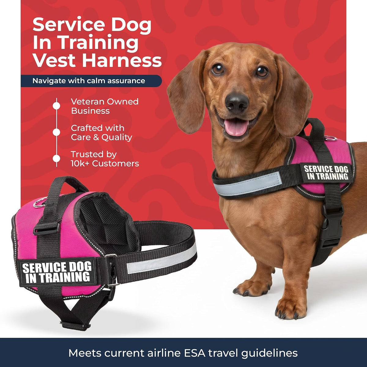 Service Dog in Training Vest Harness, XS 16.5-21.5 in Pink