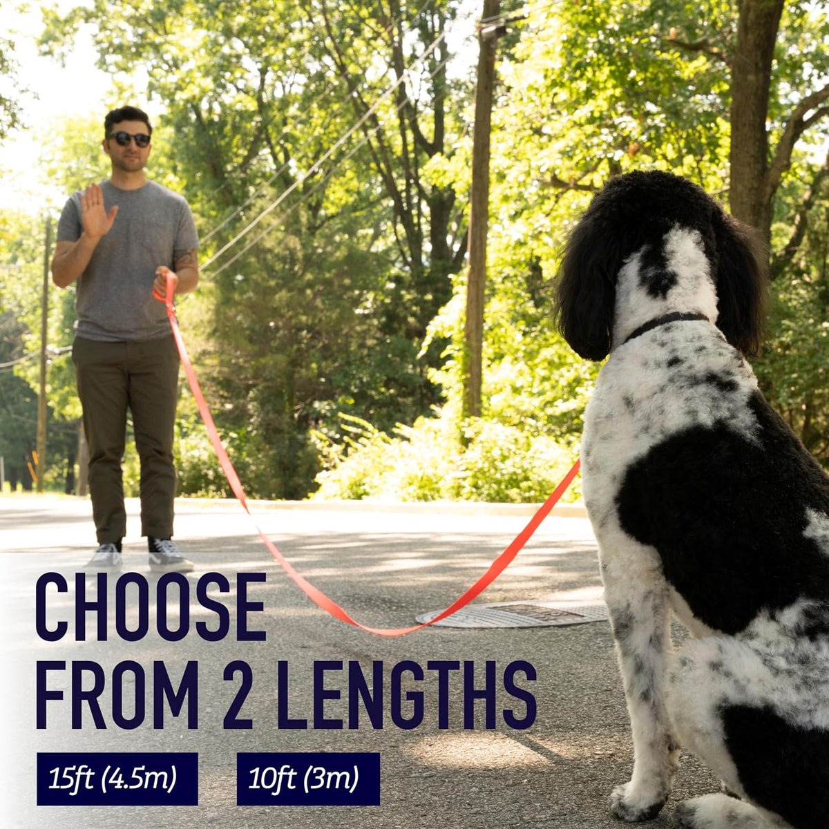 10 Foot Dog Leash with Padded Handle - Long Leash for Hiking, Camping, Exploring, or Walking (10 Feet, Black/Red/Grey)